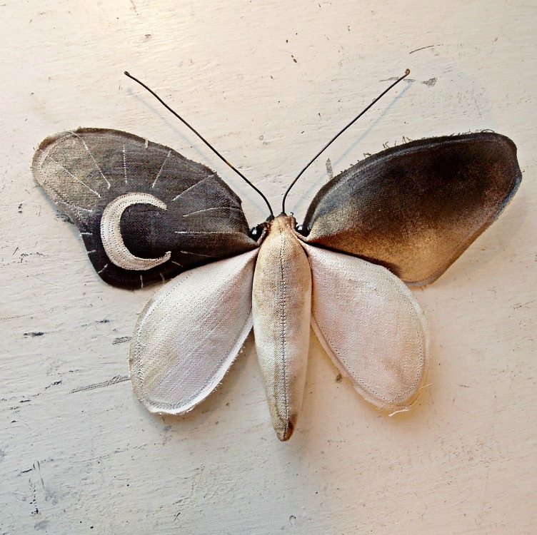Mister finch, papillon textile art