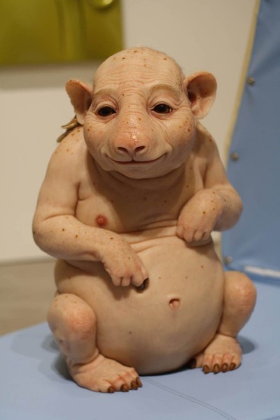 Patricia Piccinini – Northern Hairynosed Wombat
