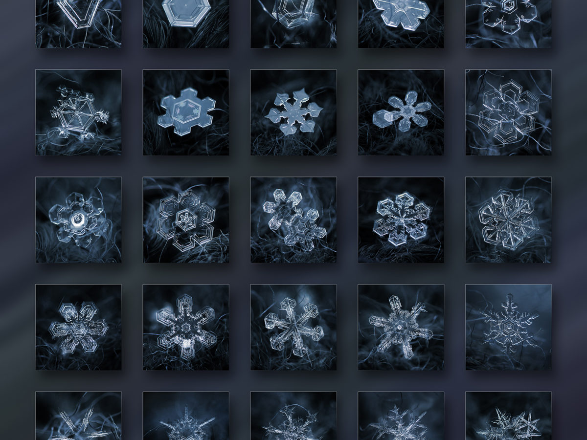 Настоящие снежинки под микроскопом