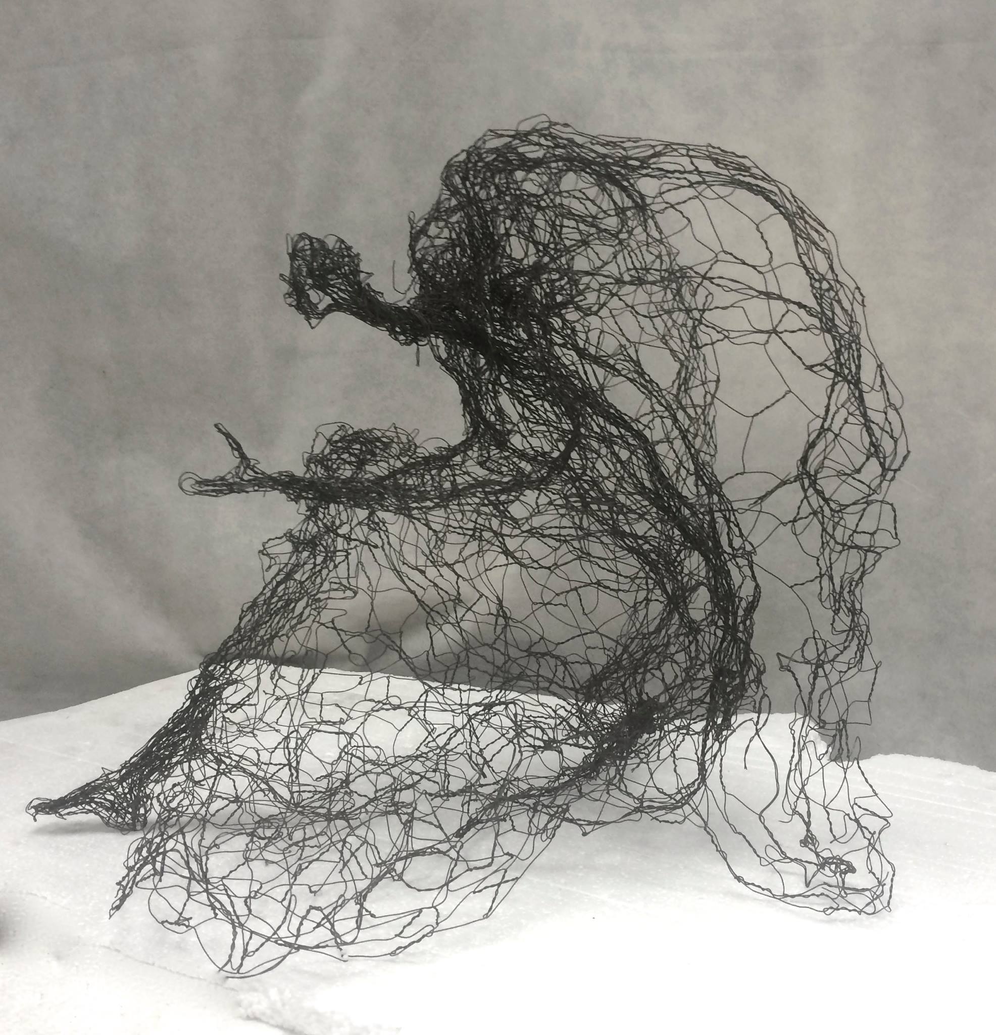 Wire mesh sculpture by Pauline Ohrel